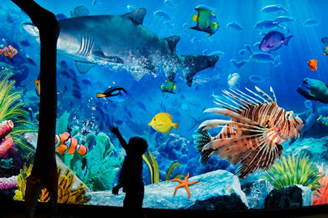DENİZ YAŞAMI Bangkok Ocean World Giriş Bilet